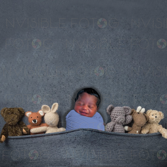 Digital Newborn Teddy Bear Photo