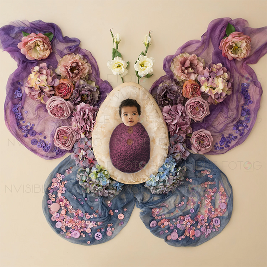 Digital Butterfly Newborn Photo