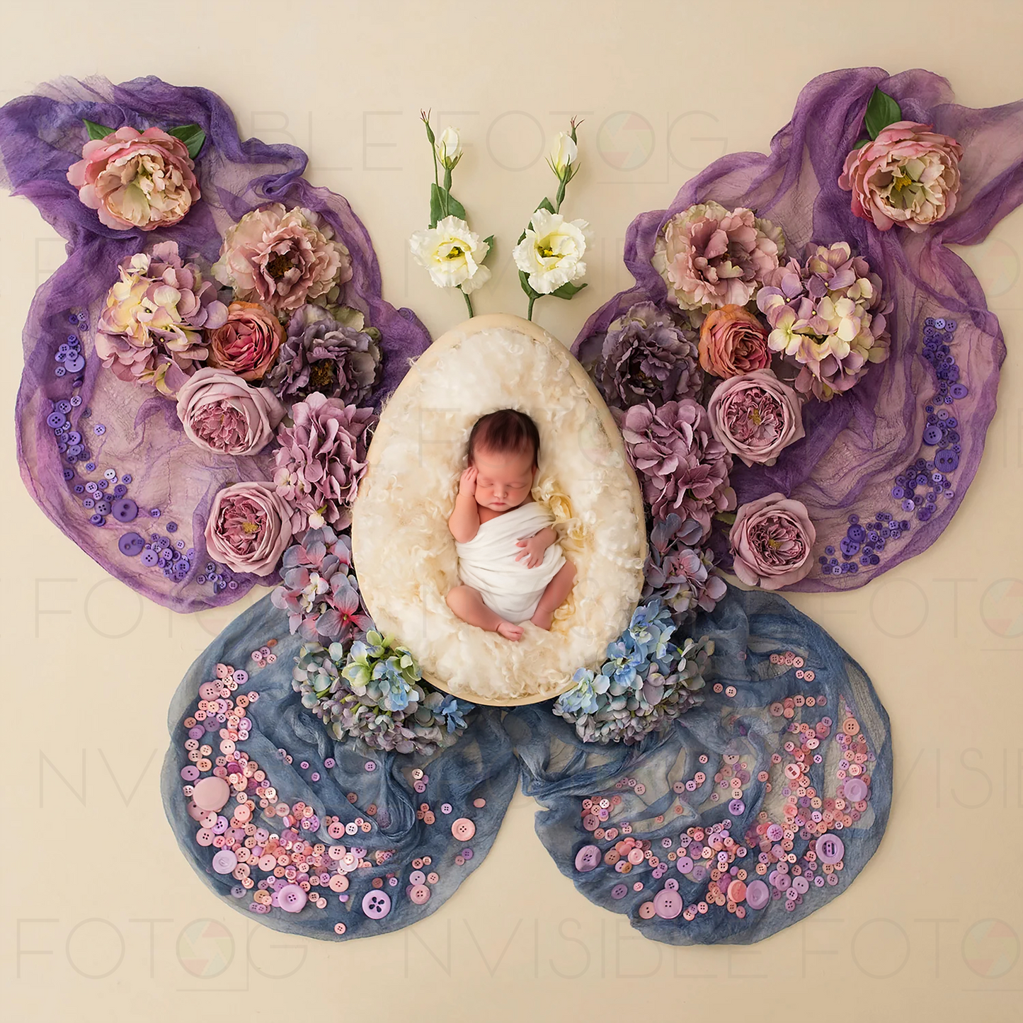 Digital Butterfly Newborn Photo